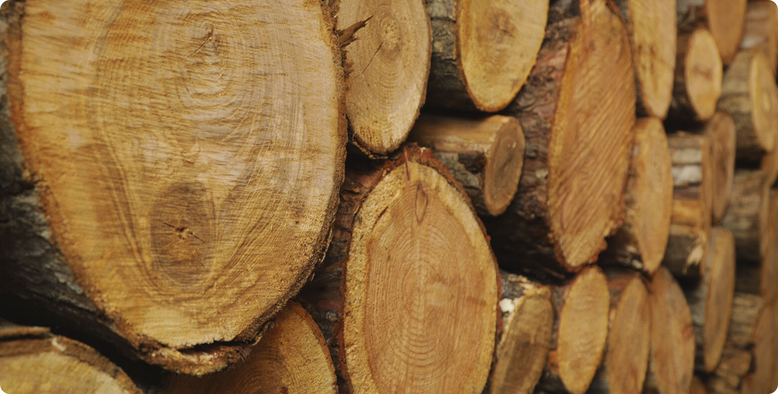 Excellent location, a 5-minute walk to ski slopes. Lodge KOROPOKKURU